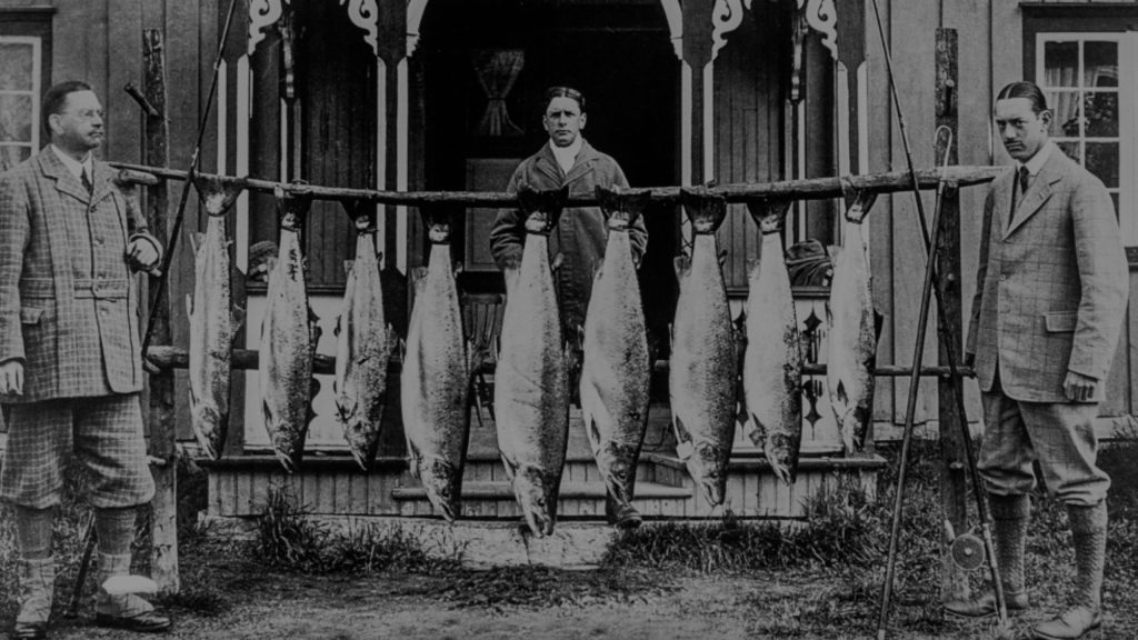 British-Salmon-Lords-scaled.jpg