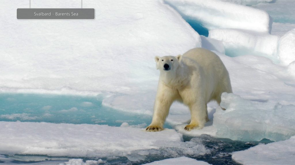 Svalbard-1-scaled.jpg